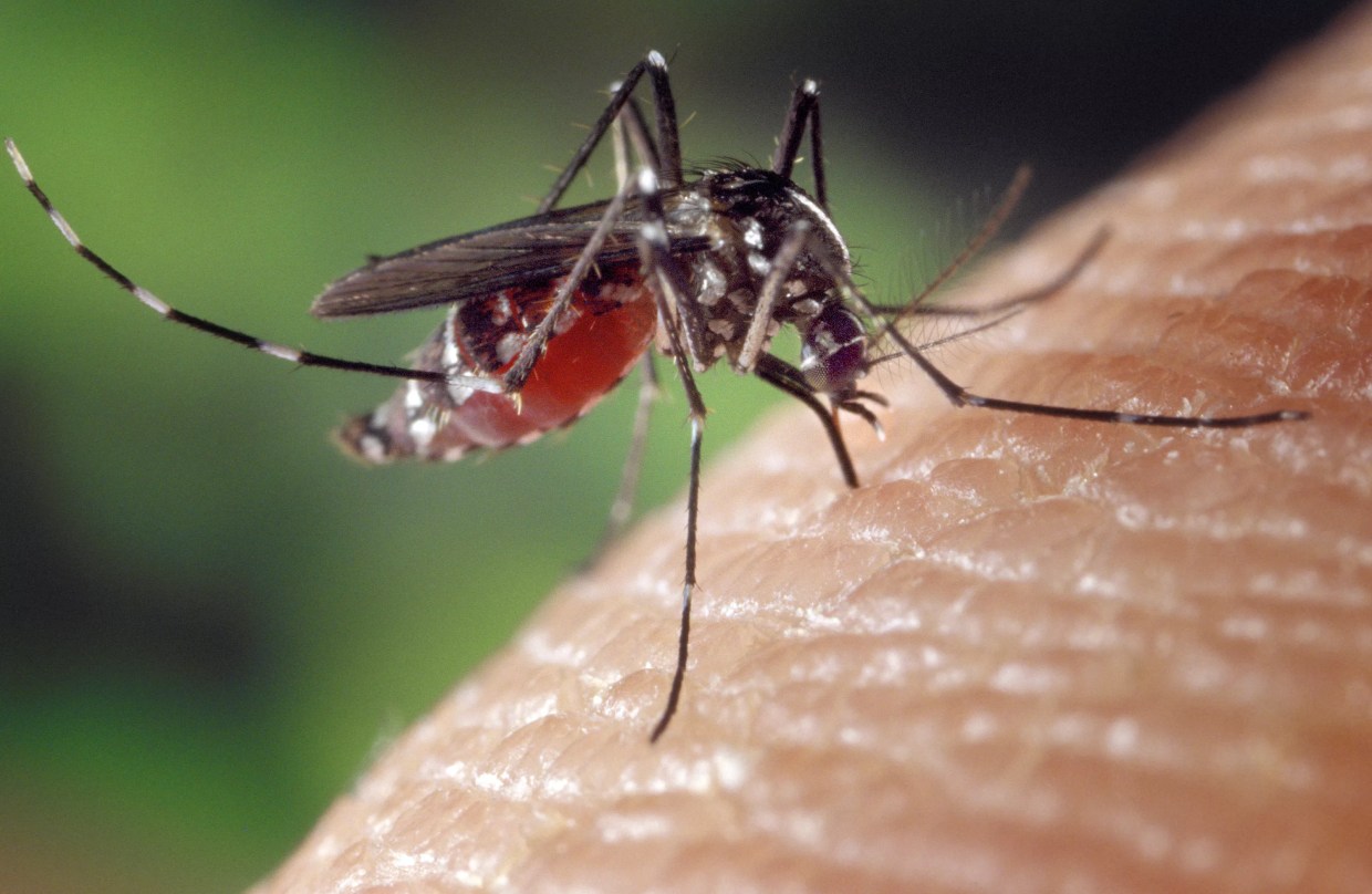 Zika Stifled Wynwood Economy, FIU Study Shows