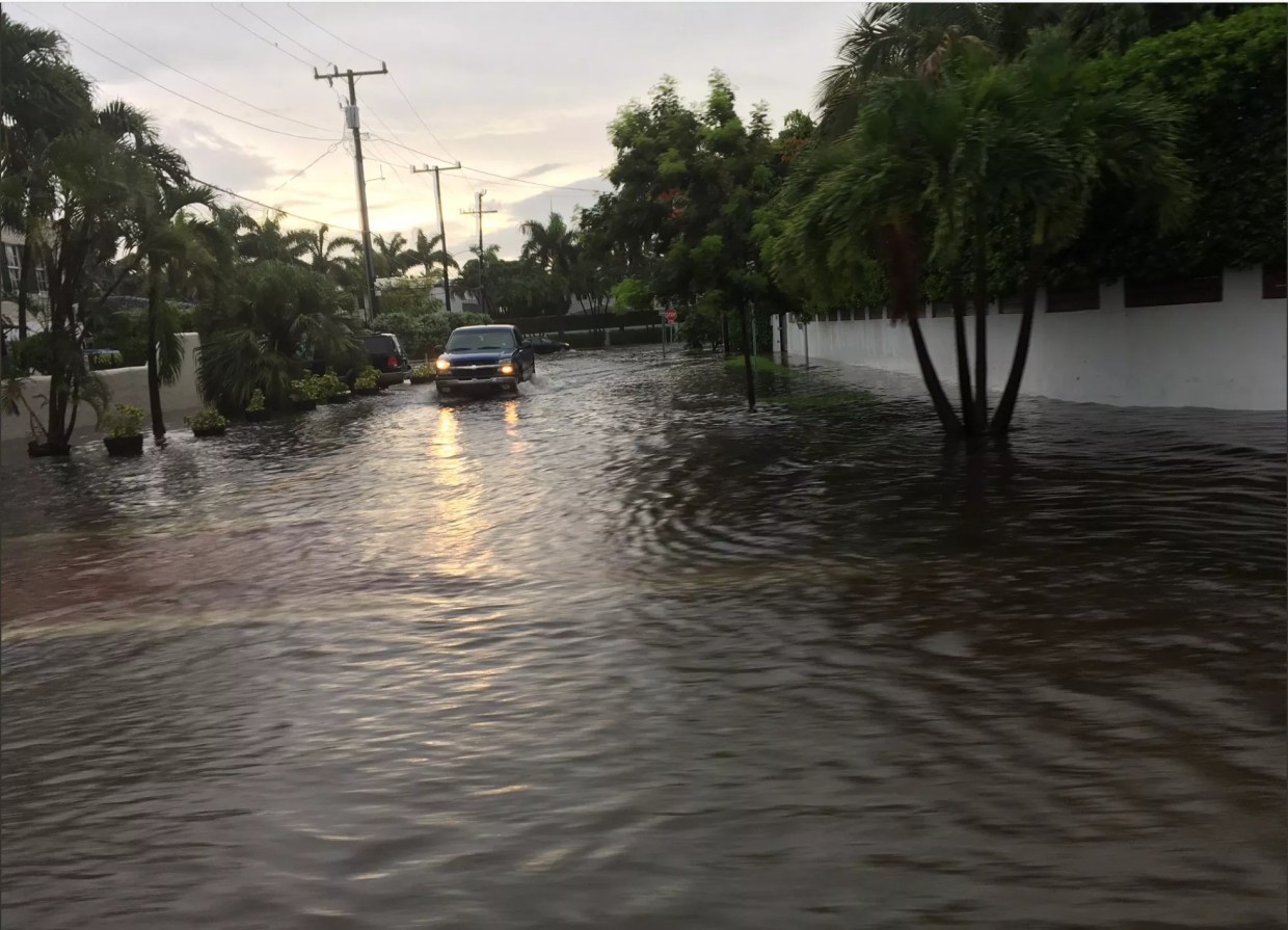Leaked Climate Change Report Warns Only Massive Carbon Cuts Will Save Miami