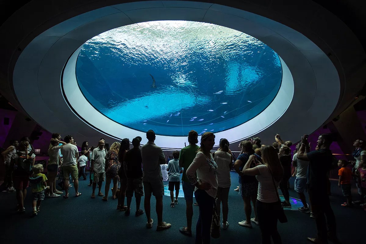 Miami’s Biggest Art and Culture Stories of 2017