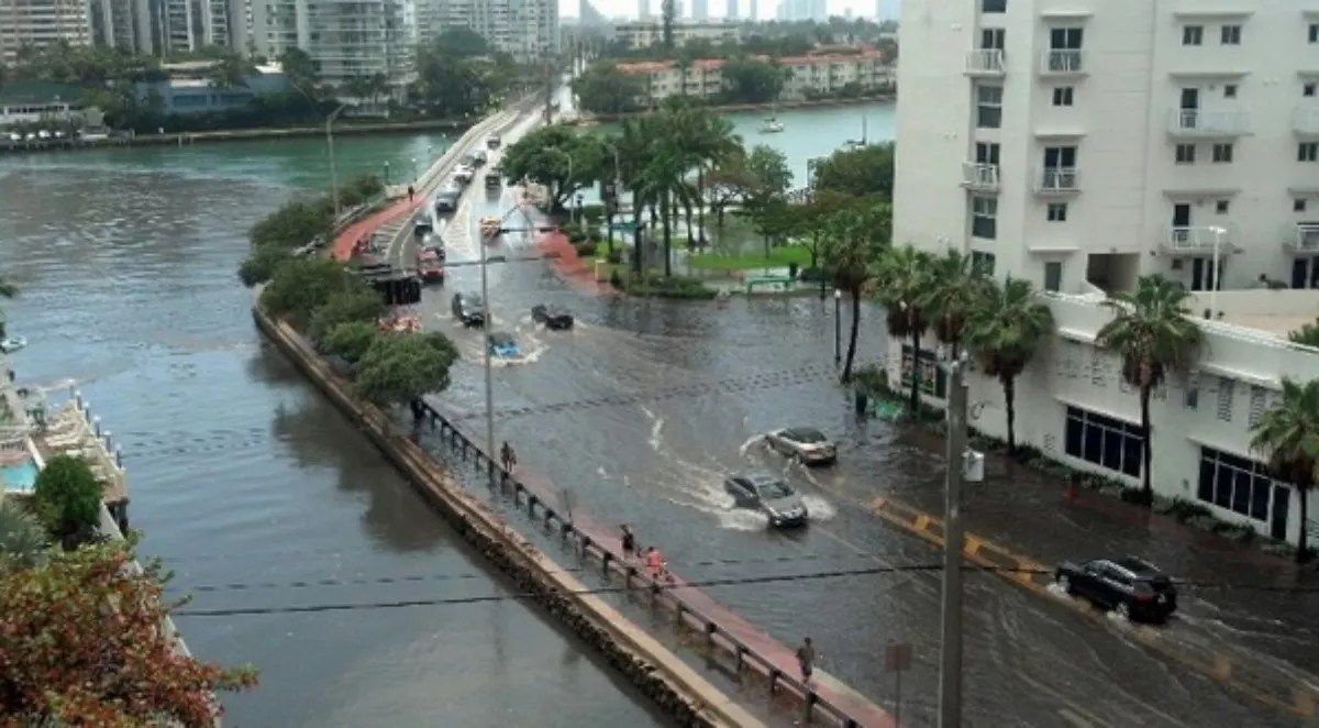 Sunset Harbour Business Owners Prepare for Hurricane Irma Onslaught