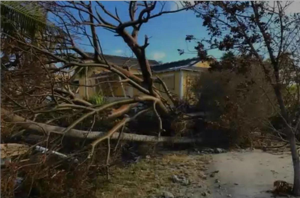 Historic Pigeon Key Forced to Close Indefinitely After Hurricane Irma Damage