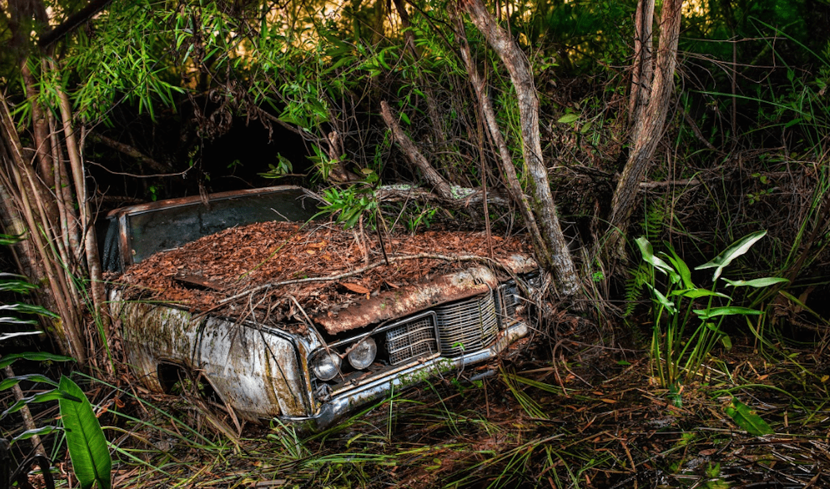 Miami Photographer Documents Decades of Vehicles Abandoned in Everglades