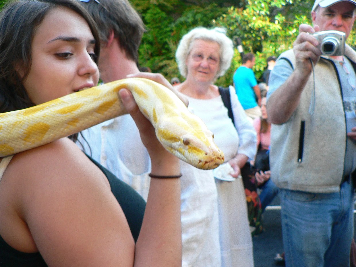 South Beach Snake Man Cited for Ripping Off Tourists