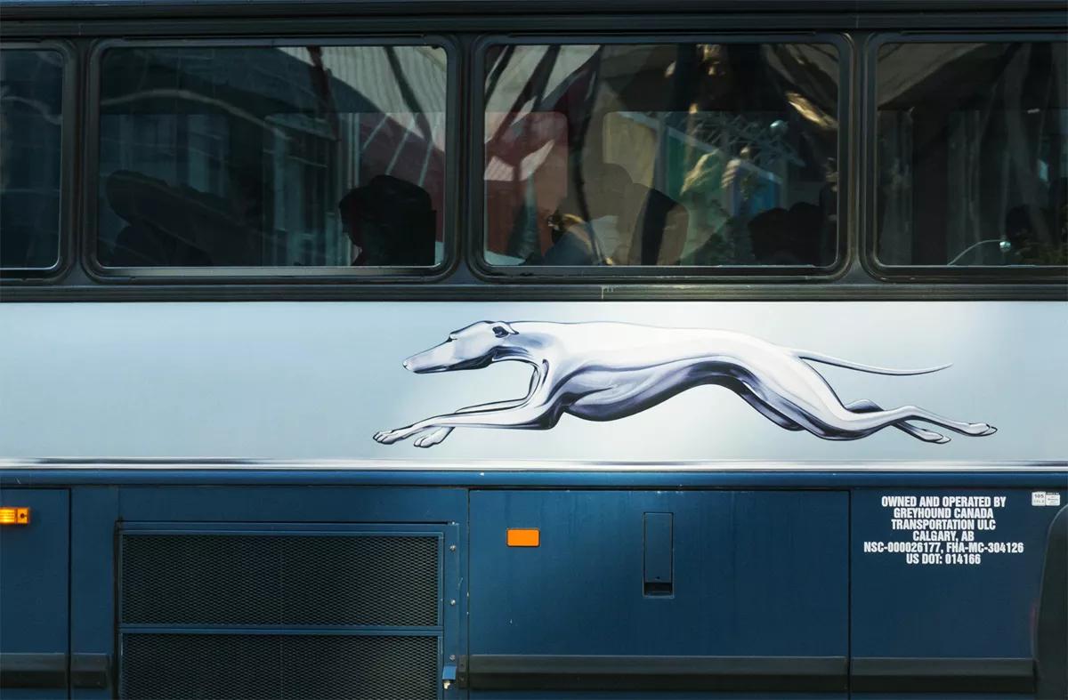 Video: Border Agents Demand Papers From South Florida Greyhound Bus Riders, Arrest Woman