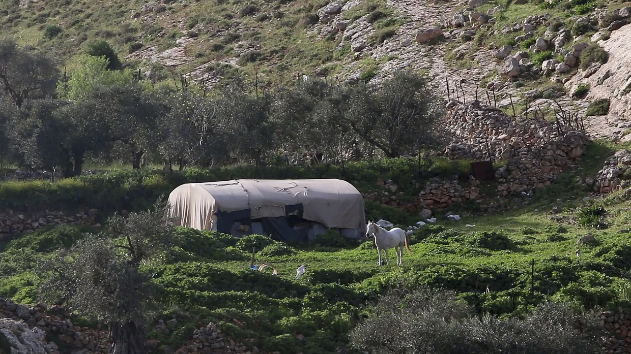 Artist Jumana Emil Abboud’s <i>Out of the Shadows</i> Shows Welcoming Visions of Palestine