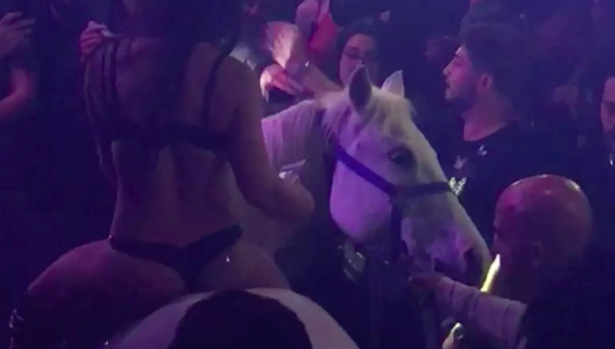Miami Beach Revokes Mokai’s Business License Over Horse Stunt