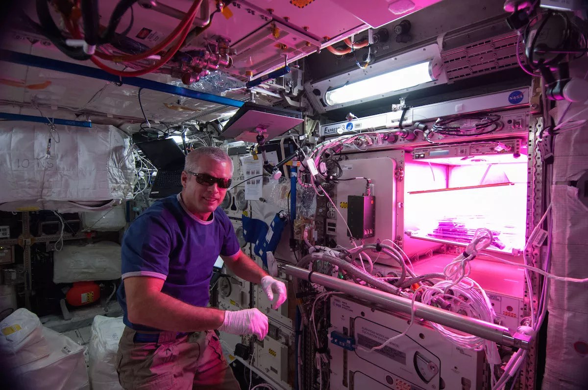 Fairchild Tropical Botanic Garden and Florida Students Help Astronauts Grow Mars-Bound Veggies