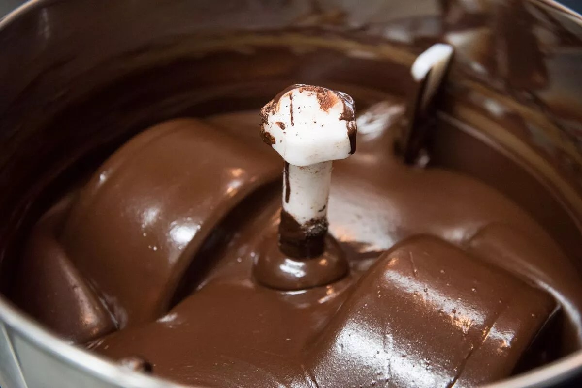 Exquisito Chocolate Factory Opens Retail Store in Little Havana