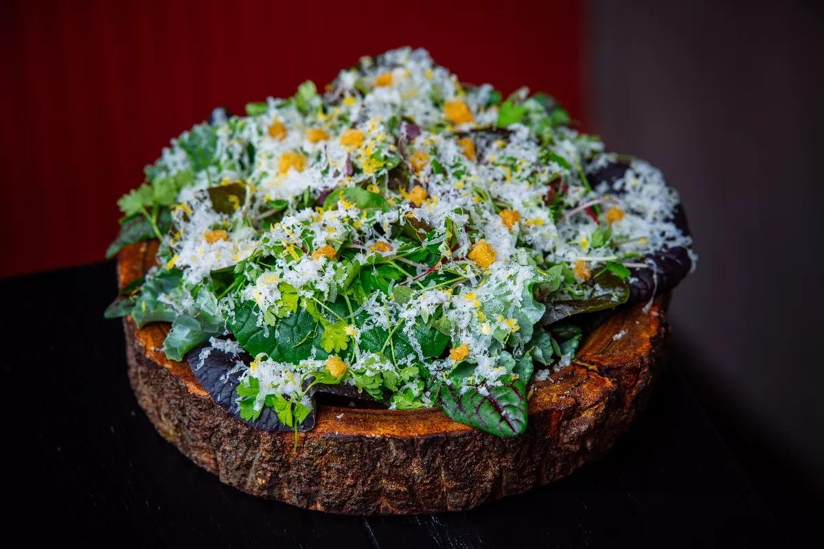 Stubborn Seed’s Brunch Is a Feast for the Eyes