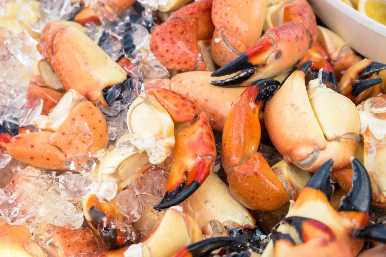 The South Beach Seafood Festival Returns With New Events and Celebrity Chefs