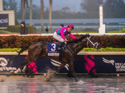 Here Are the Best Things to Do in Miami This Weekend