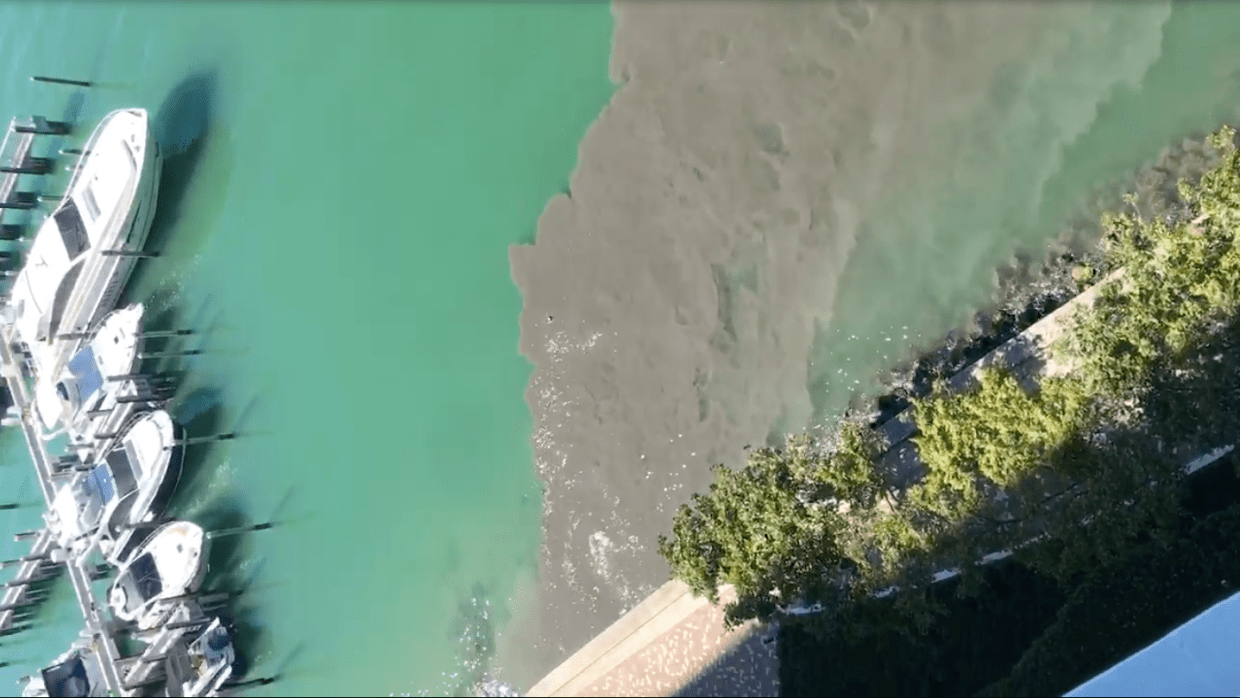 Videos Show Dirty Stormwater Pumped Into Biscayne Bay and Swallowed by Manatee