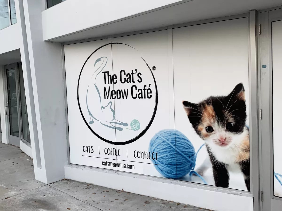The Cat’s Meow Café Brings the Cat Café Concept to Mainland Miami
