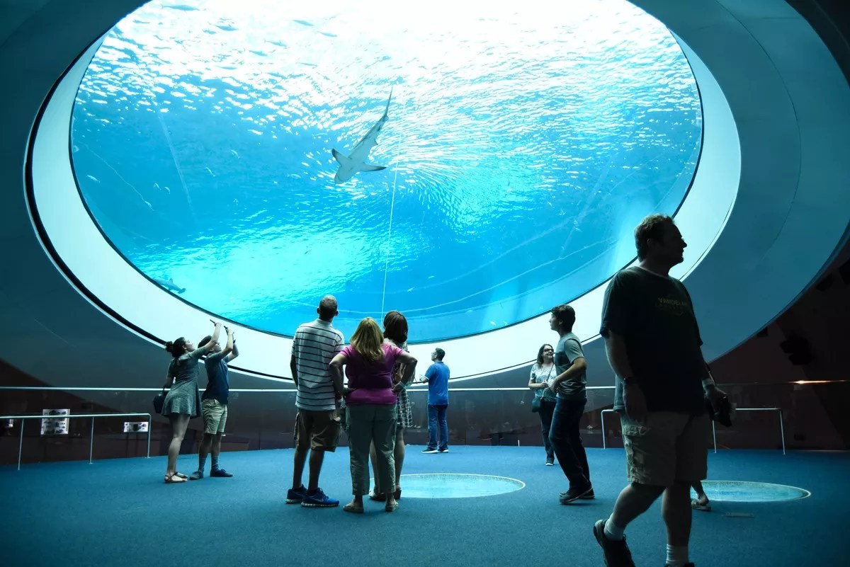 Adults Can Sleep Over at the Frost Science Museum’s “Science of Sex” Night
