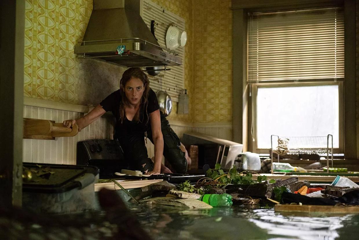 Where in Hell Does the Florida Gator Horror Movie <em>Crawl</em> Take Place?