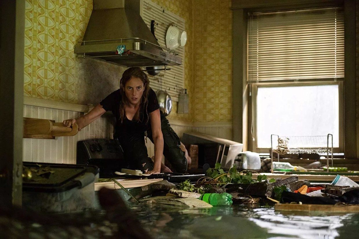 Where in Hell Does the Florida Gator Horror Movie <em>Crawl</em> Take Place?