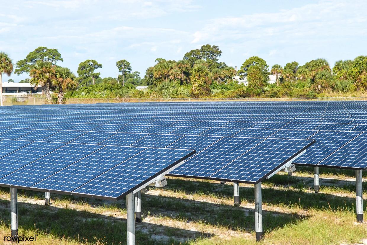 South Miami Commits to Running on 100 Percent Renewable Energy by 2040