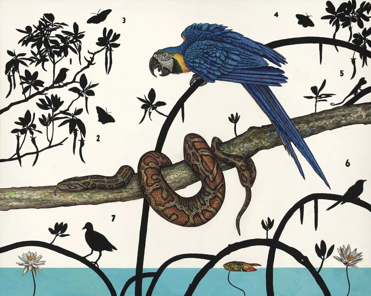 James Prosek Celebrates Everglades Wildlife in “Contra Naturam/Against Nature”