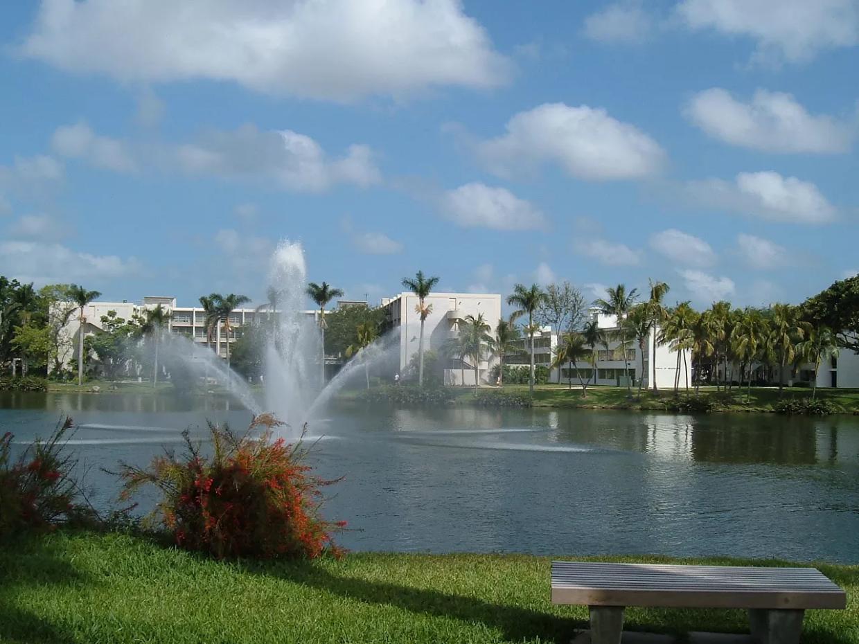EEOC Sues University of Miami for Gender-Based Pay Discrimination