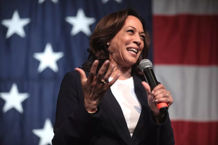 Vice President Kamala Harris speaks into a microphone in front of a U.S. flag