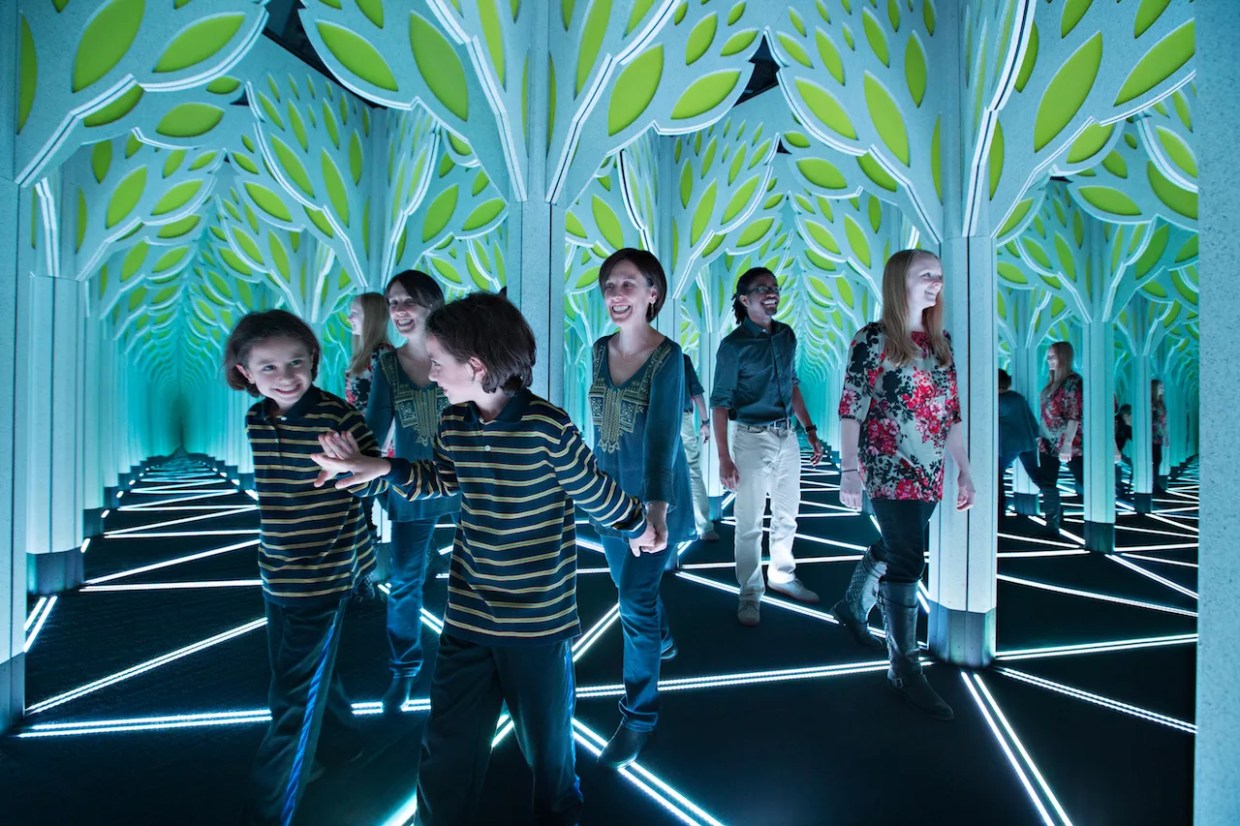 Frost Science’s New Exhibit Shows Math Is All Around Us