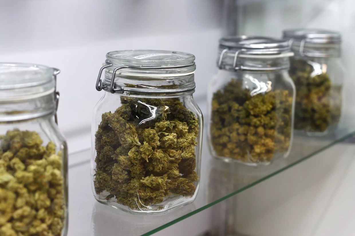 Florida House Once Again Considers 10 Percent THC Cap on Medical Marijuana
