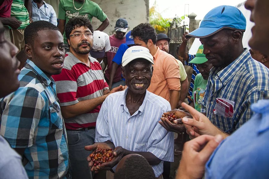 Panther Coffee Brings a Haitian Farm Co-Op’s Beans to Miami After a Decade of Work