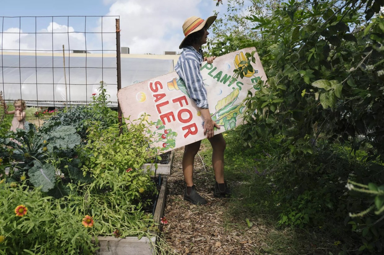 South Florida Plant Nurseries Can’t Keep Up With Pandemic Shoppers