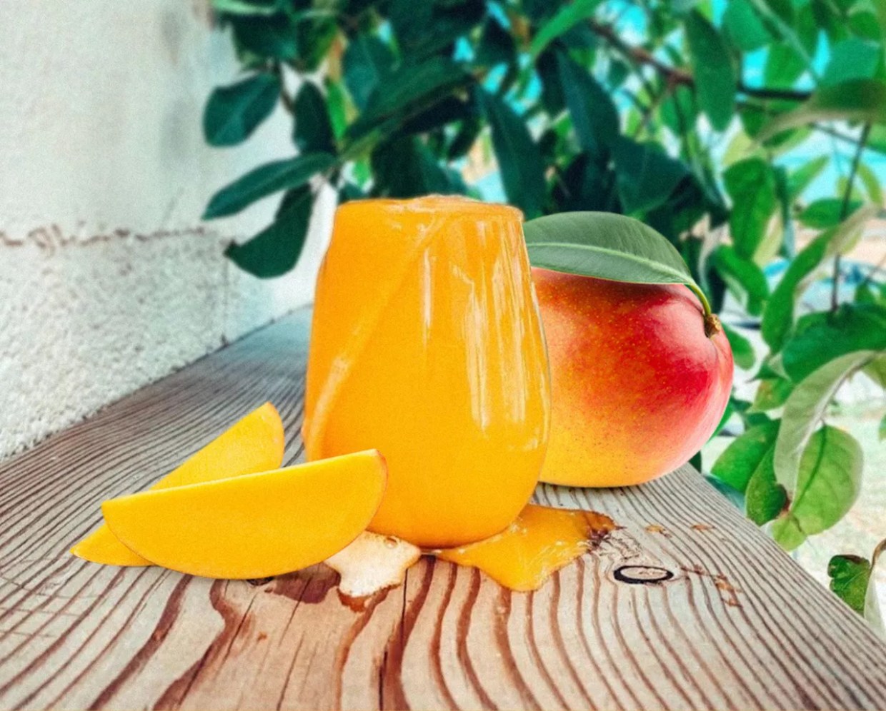 Fairchild Garden’s “Mango Days of Summer” Is a Monthlong Event