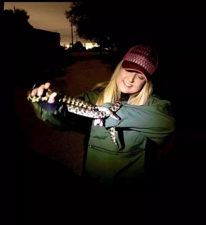 Oh, Great: Researchers Say Invasive Pythons Carry Dangerous Parasites