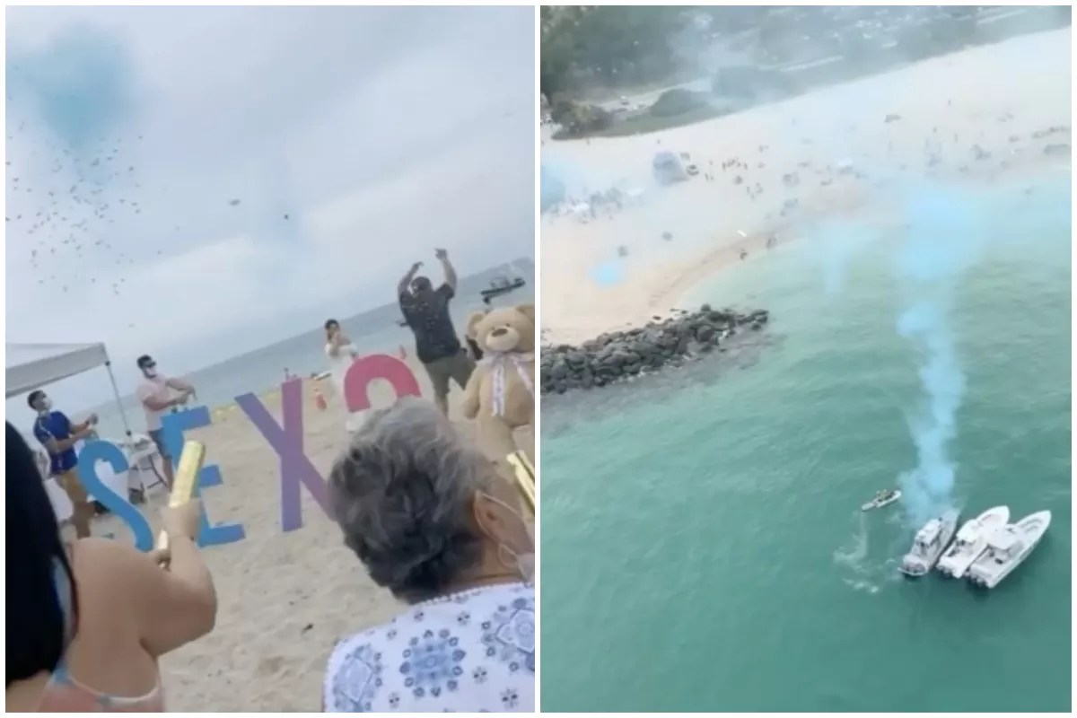 Environmental Group Blasts Gender Reveal Company for “Illegal Dumping”