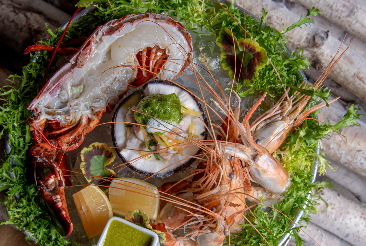 Maü Miami Wants to Transport You to Mykonos by Way of Tulum