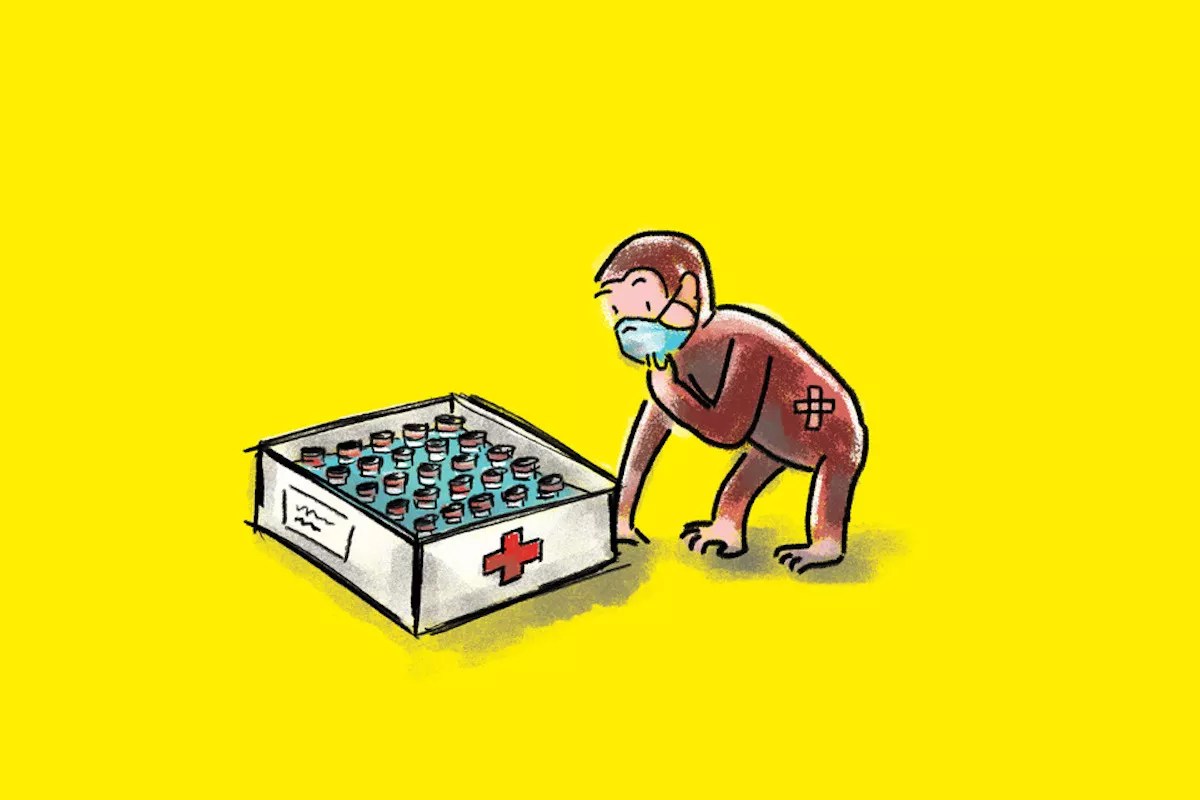 The COVID Vaccine Is Here — And We Have Monkeys to Thank