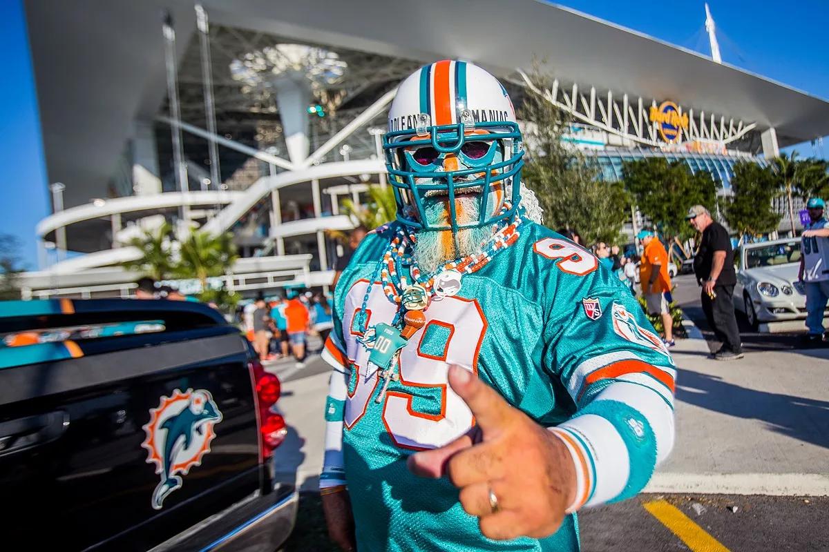 dolphins fan