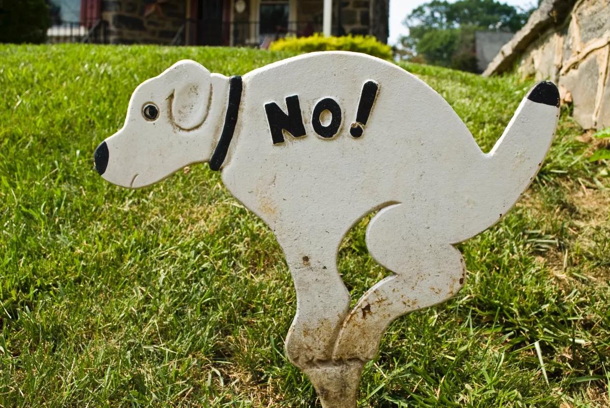 North Bay Village Launches “Poop-Free NBV Week” Because People Suck at Picking Up Dog Shit