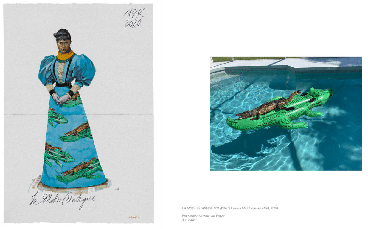 Artist Uses Viral Image of Alligator on Pool Float to Highlight Everglades Conservation