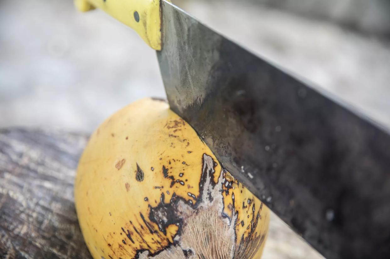 If It Bleeds, It Leads: Miami’s Most Notorious Machete Attacks