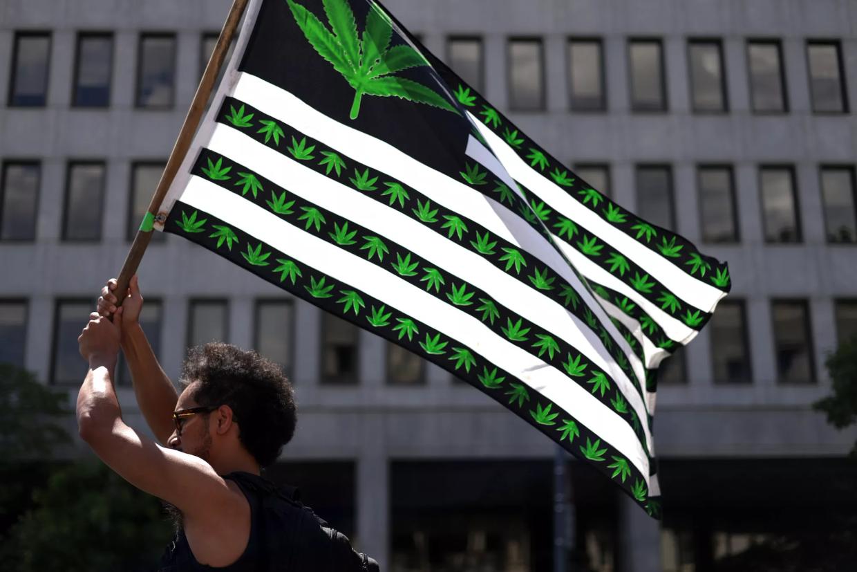 Recreational Marijuana in Florida Goes on Trial This Week