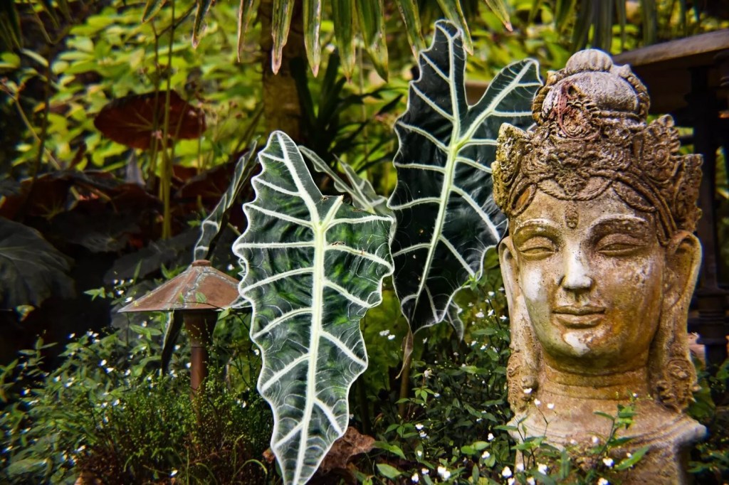 photo of a weathered bust next to green leaves