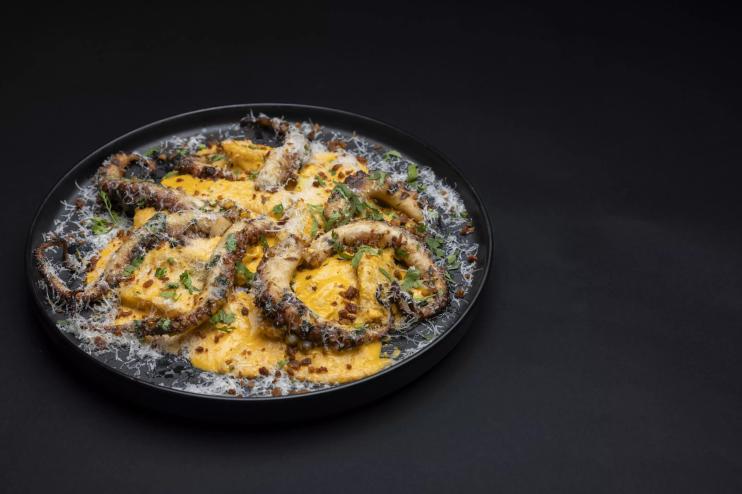 An octopus dish