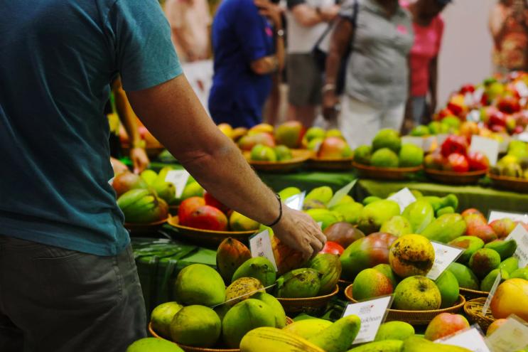 mangoes and a man