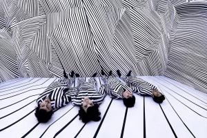 the members of ladytron
