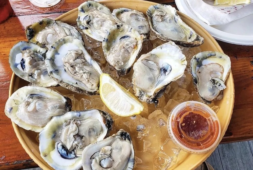 a tray of fresh oysters