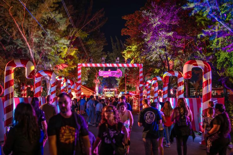 Photo of people walking down a thoroughfare at a holiday park. Life-sized candy canes stand on both sides of the walkway,