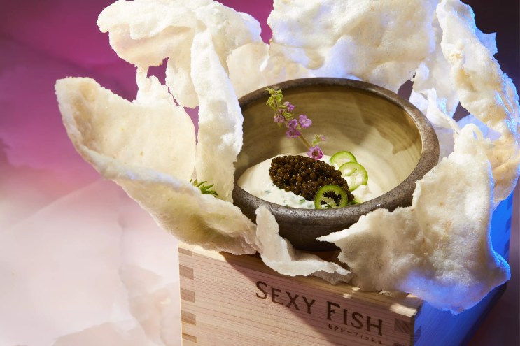 a food dish