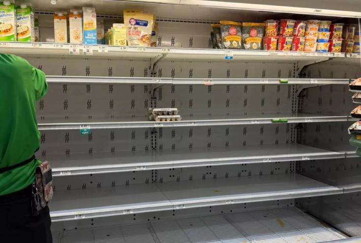 empty shelves