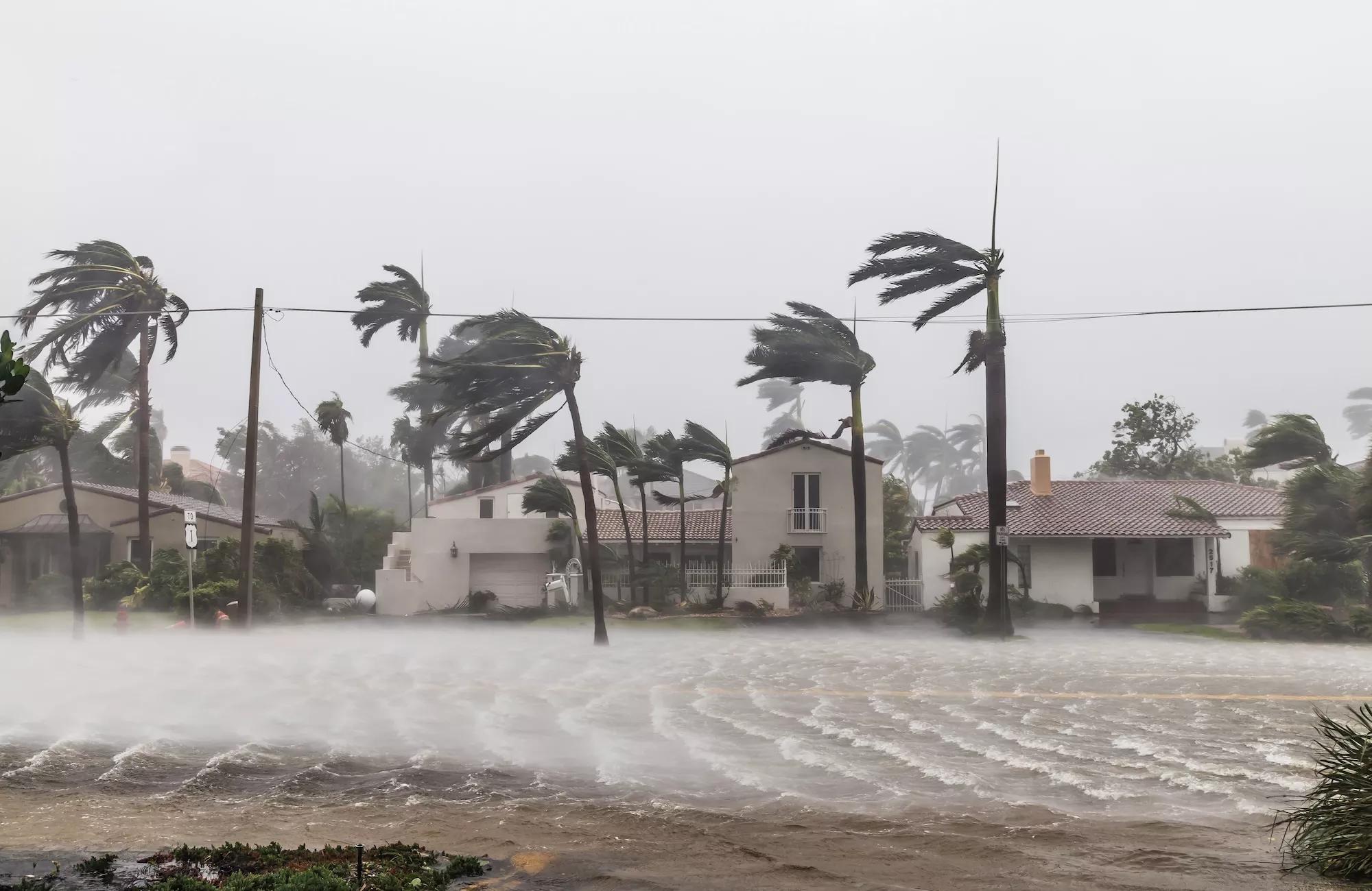 Flooded Las Olas Blvd and Palm trees blowing in the winds amid Hurricane Irma on September 10, 2017